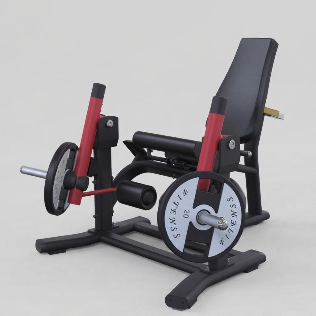 Leg Extension