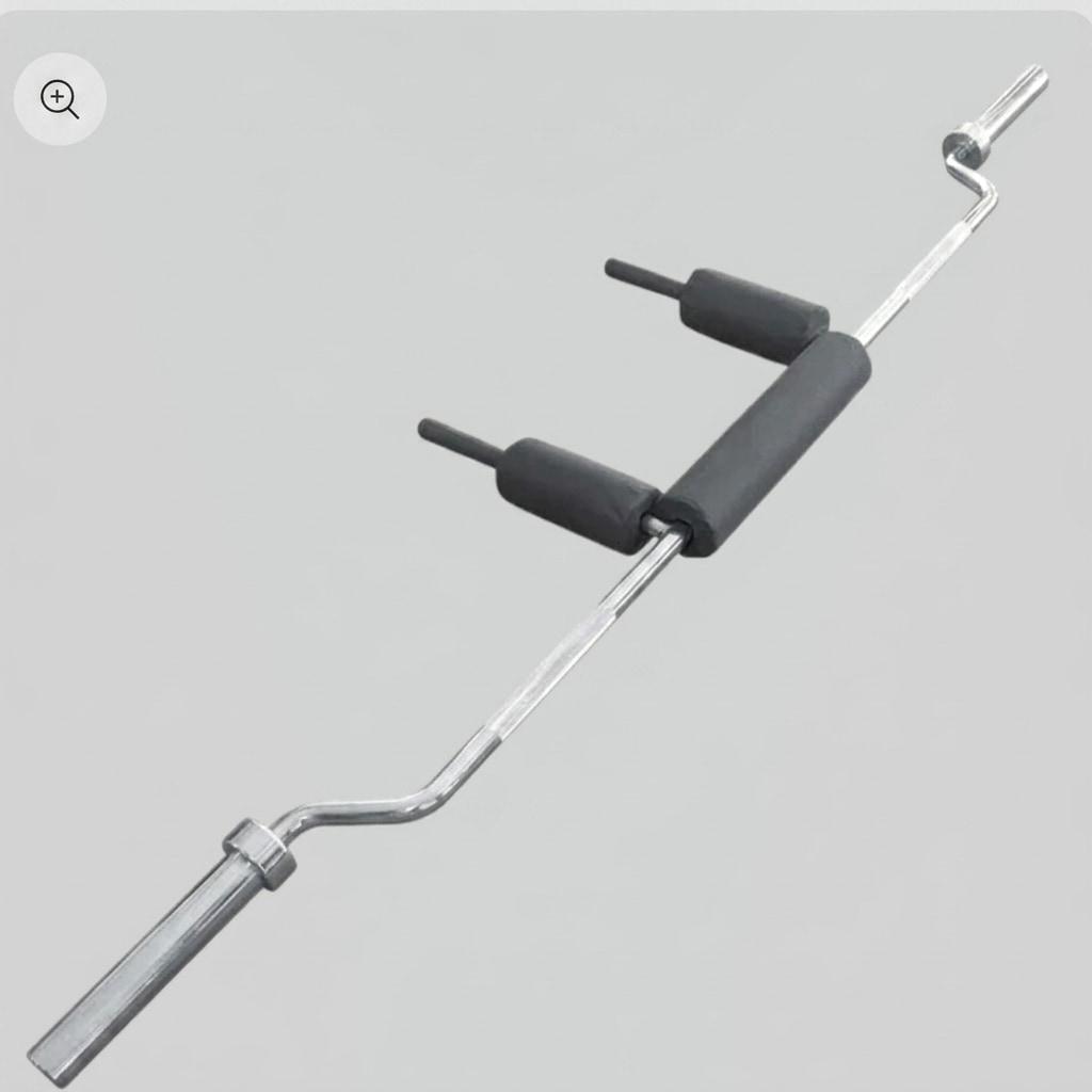 Squat Safety Bar