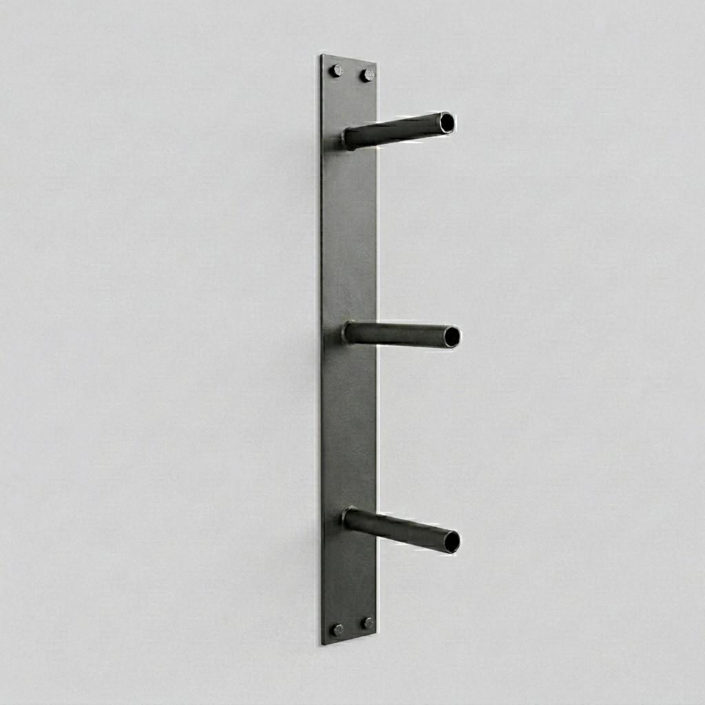 Wall Mounted Bumper Plate Rack