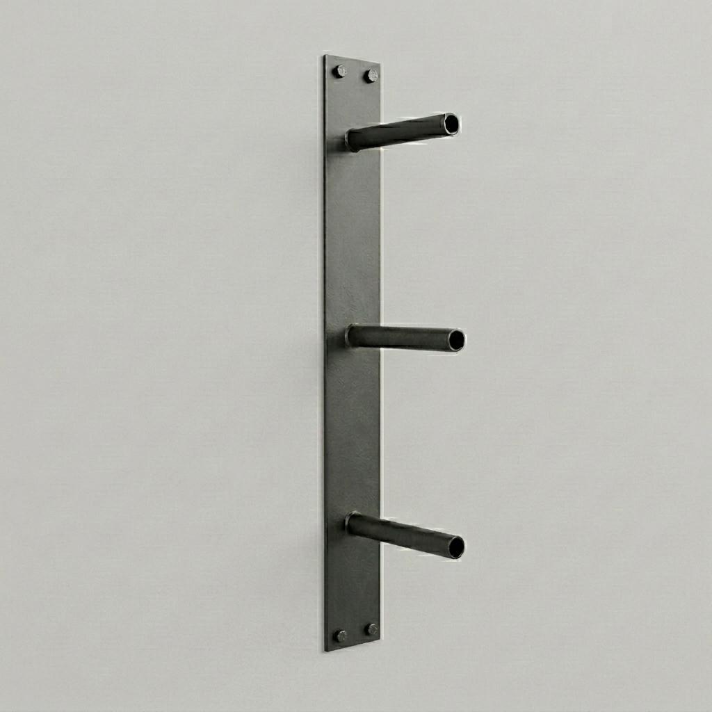 Wall Mounted Bumper Plate Rack