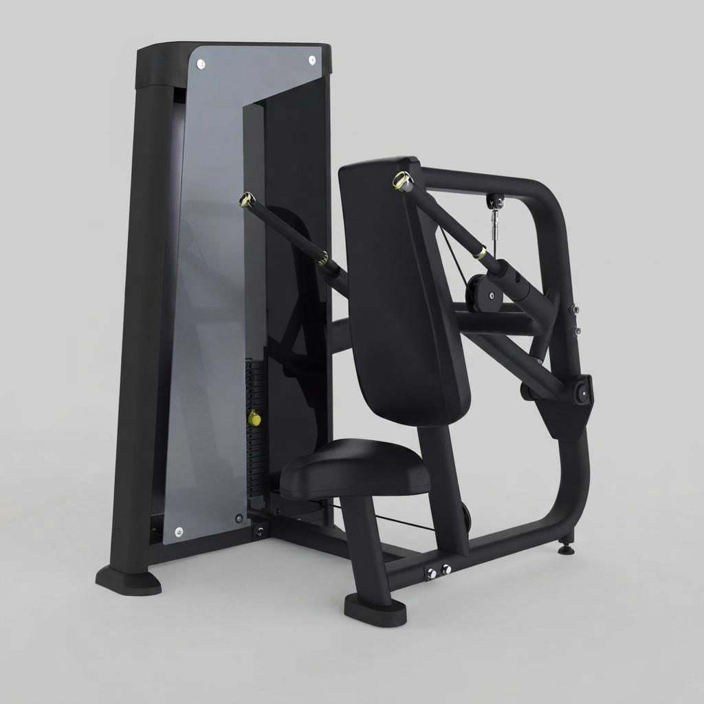 Seated Dip Machine