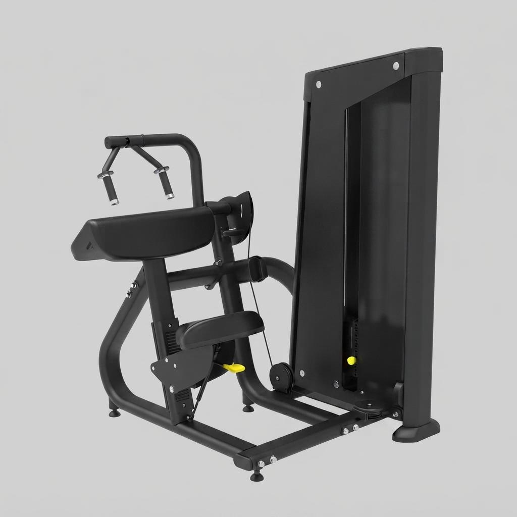 Triceps Extension Machine