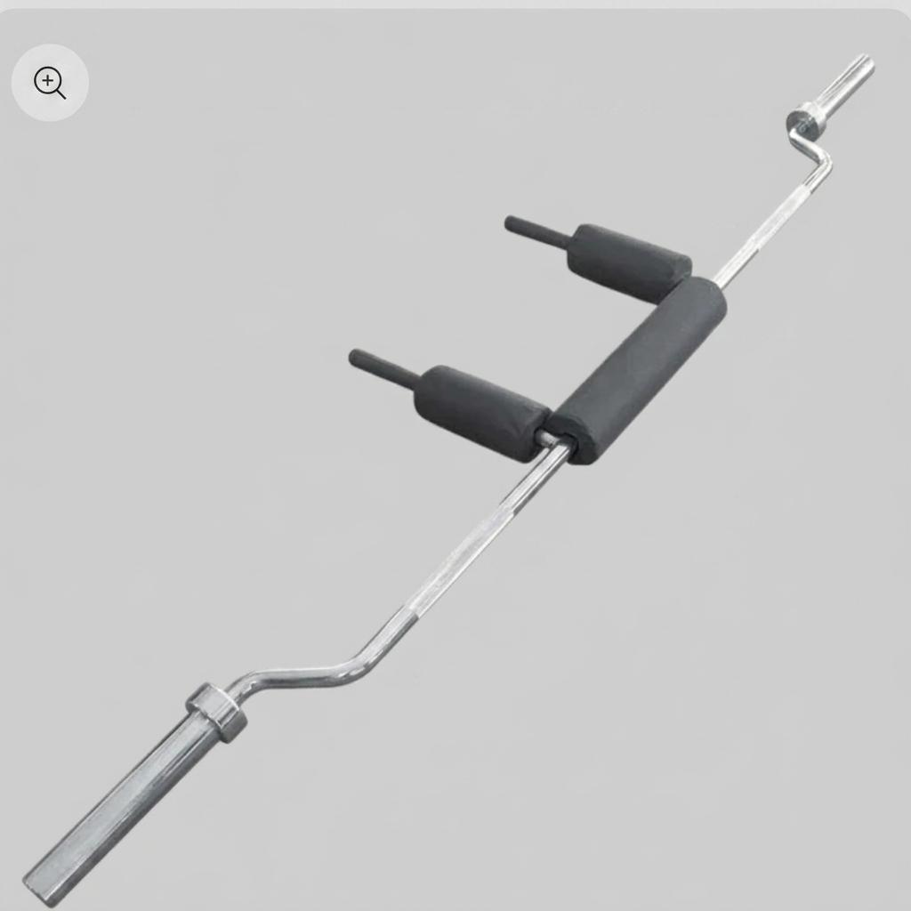 Squat Safety Bar
