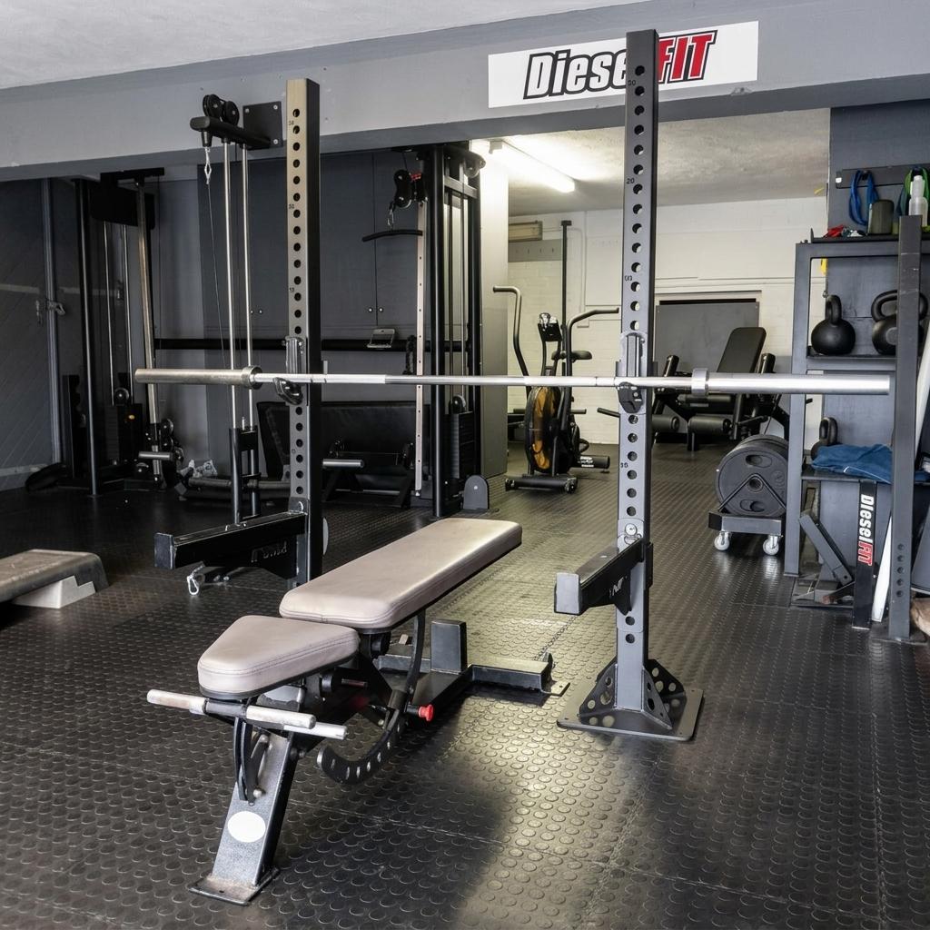 Fixed Squat and Bench Rack